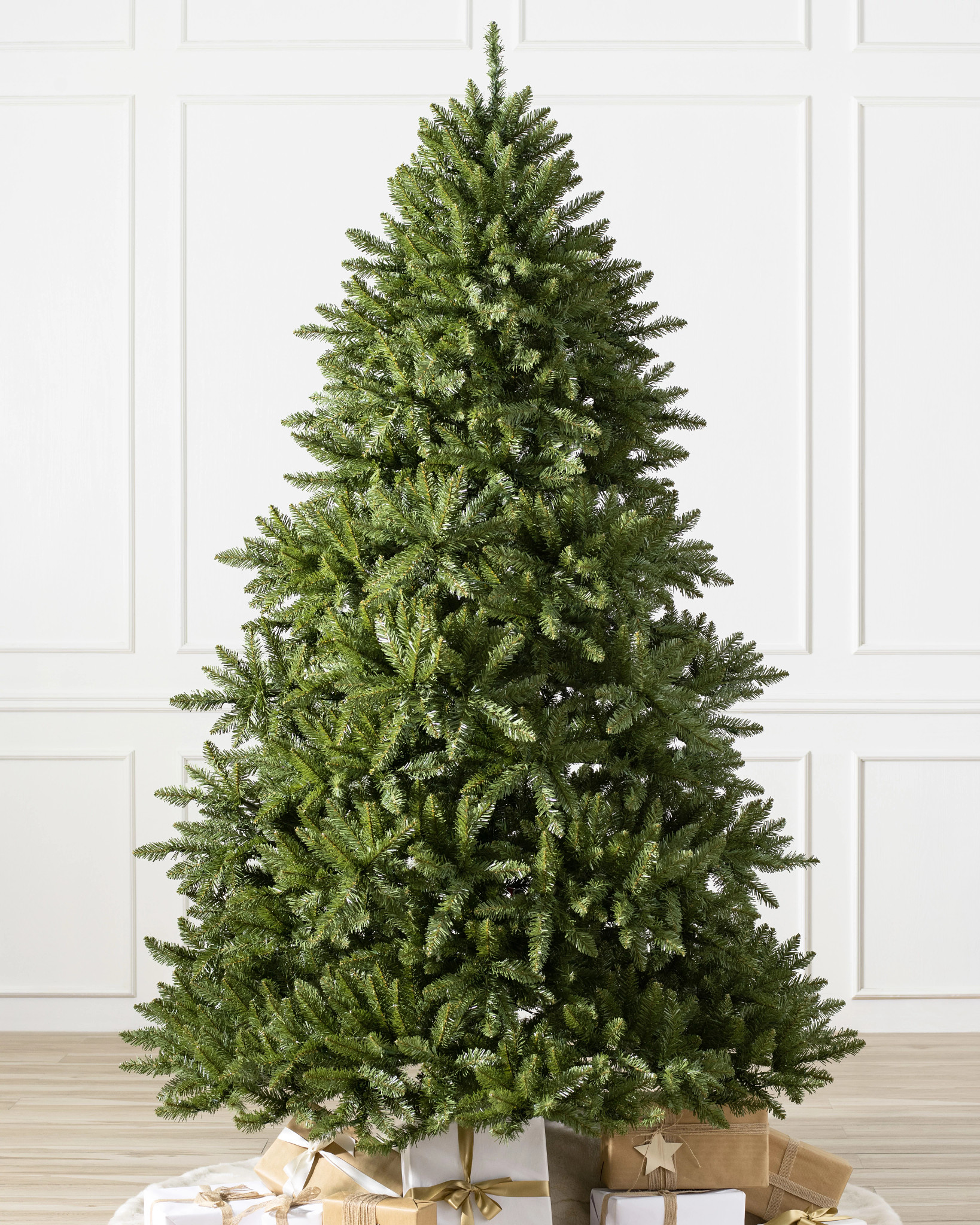 Vancouver Spruce
