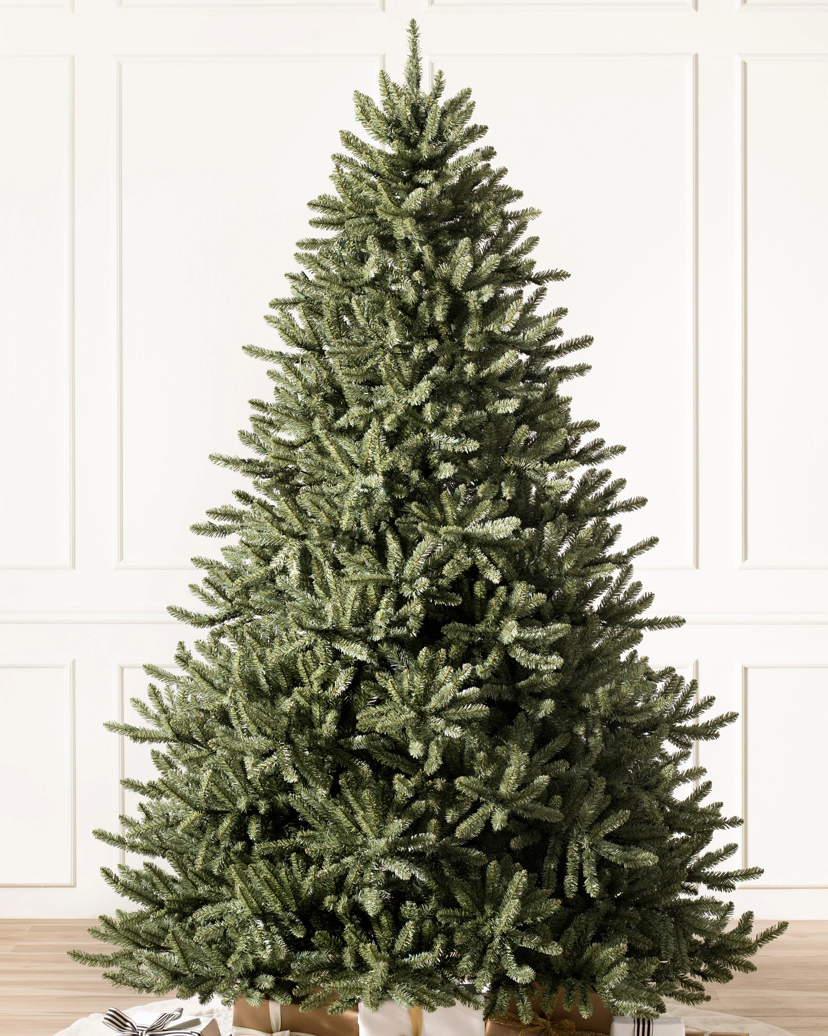 Classic Blue Spruce