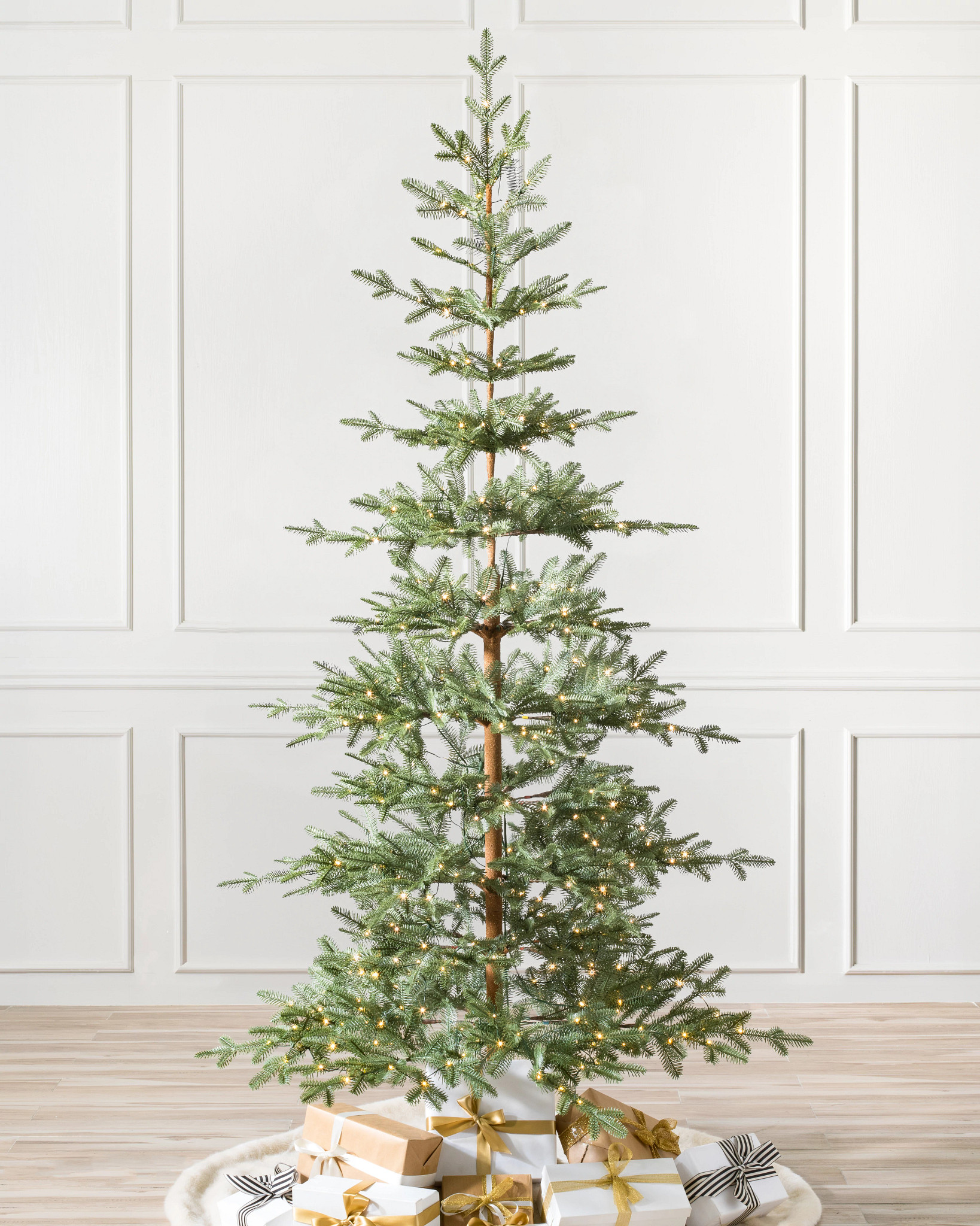 Alpine Balsam Fir