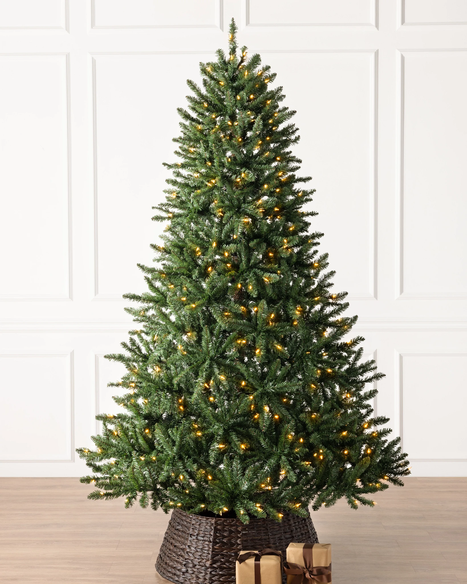Classic Evergreen Spruce