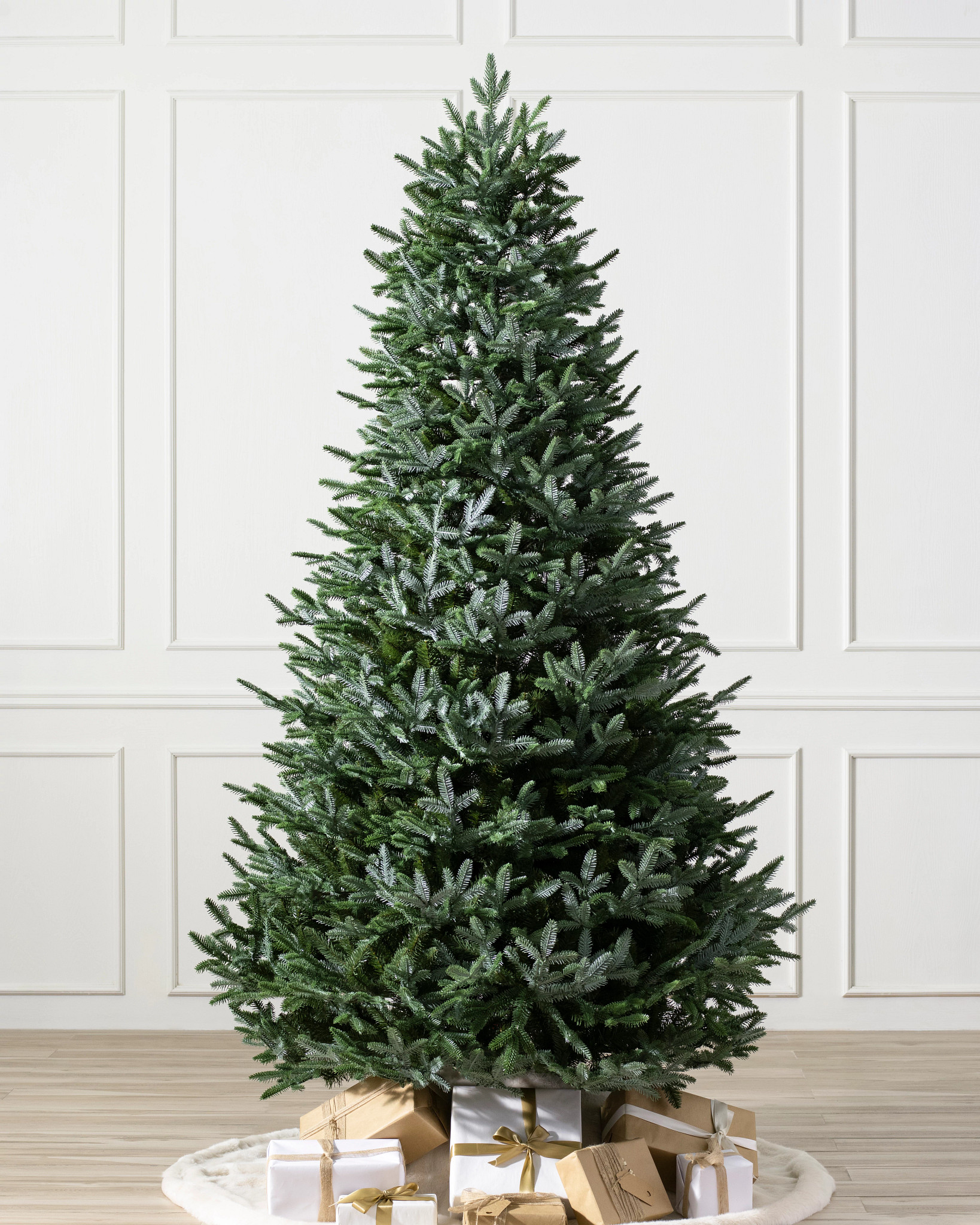 European Silver Fir
