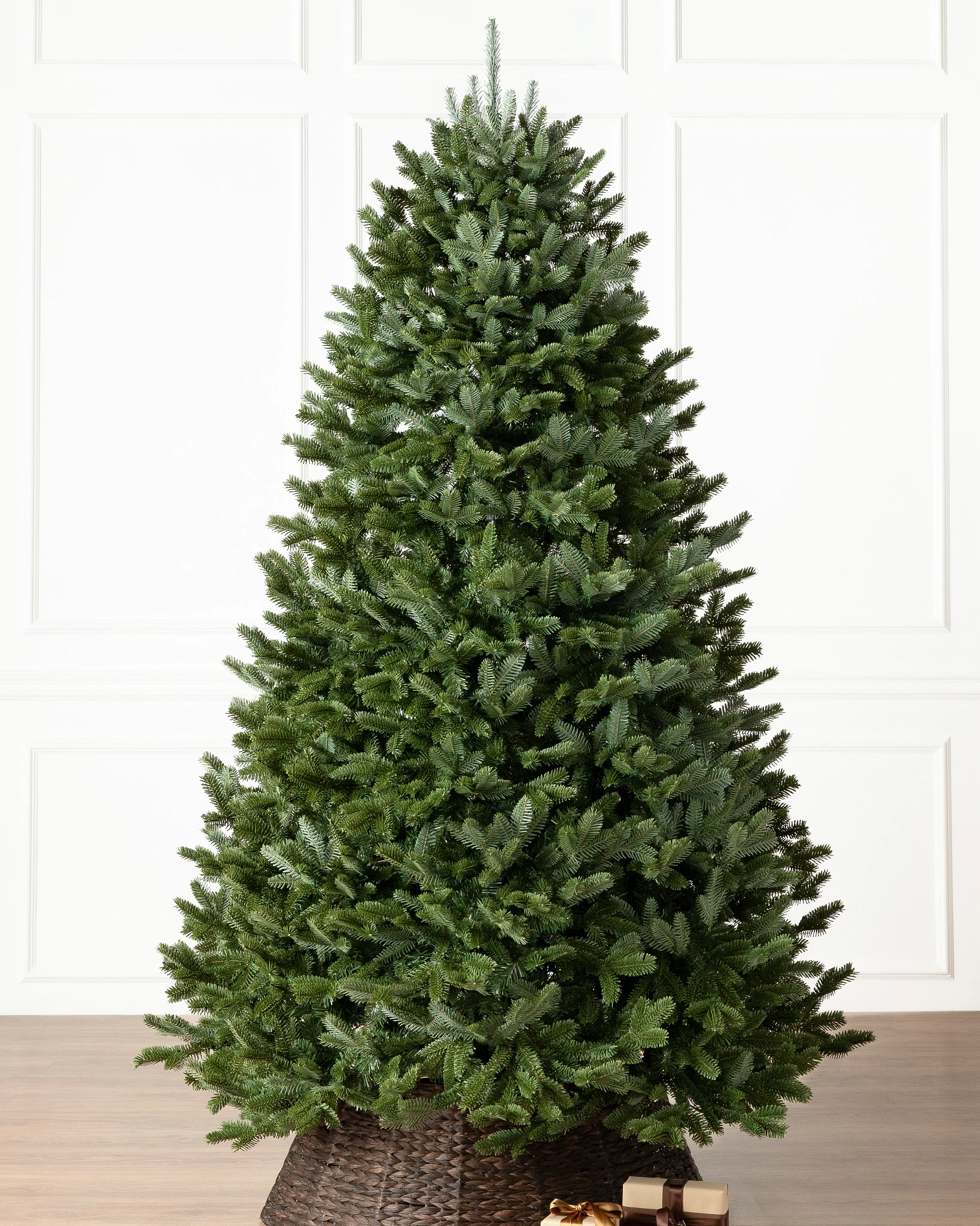 BH Fraser Fir