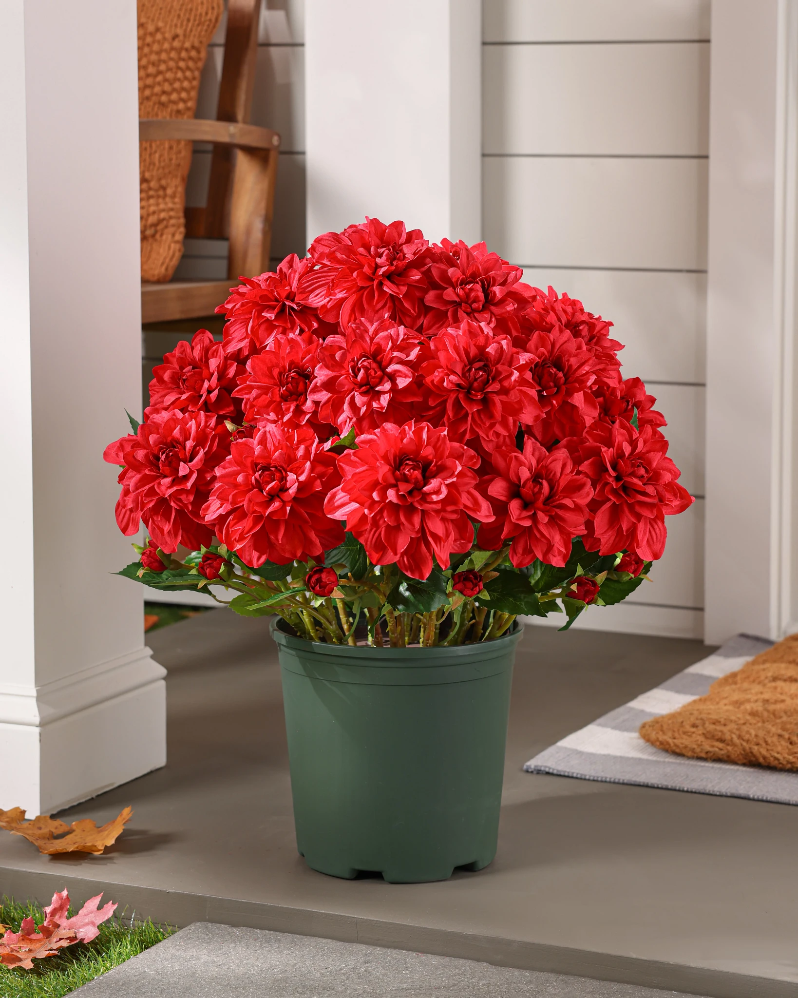 Outdoor Orange Vibrant Dahlias Pot Filler