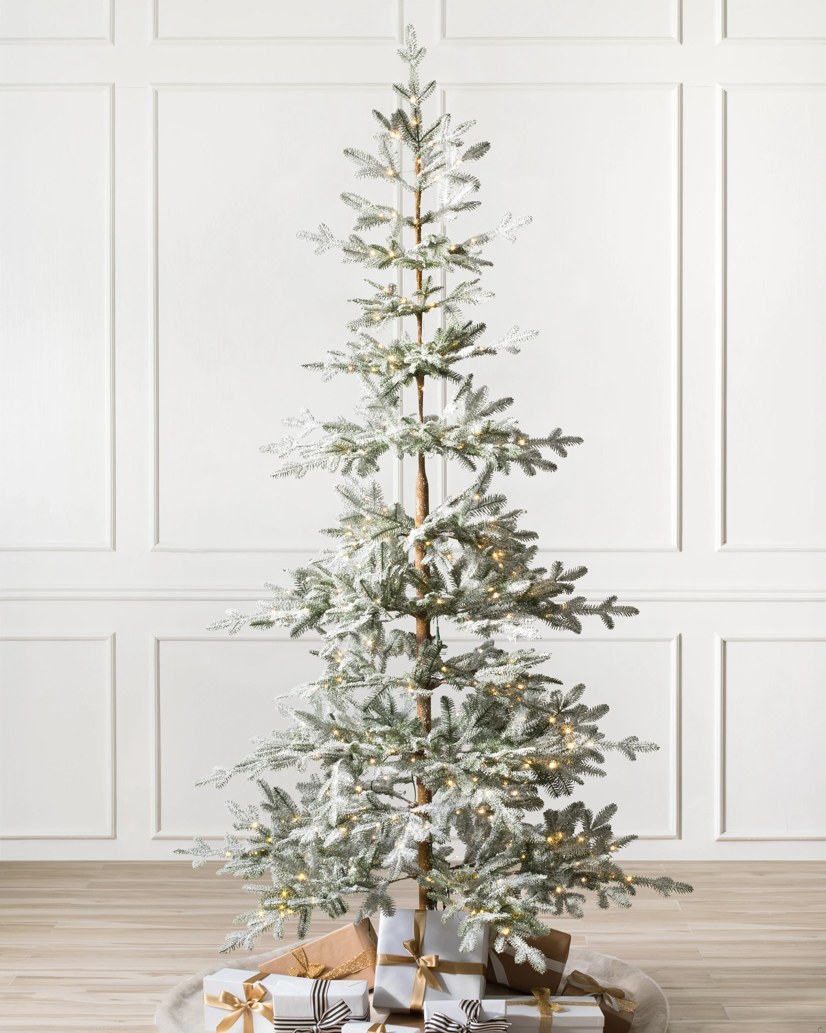 Frosted Alpine Balsam Fir